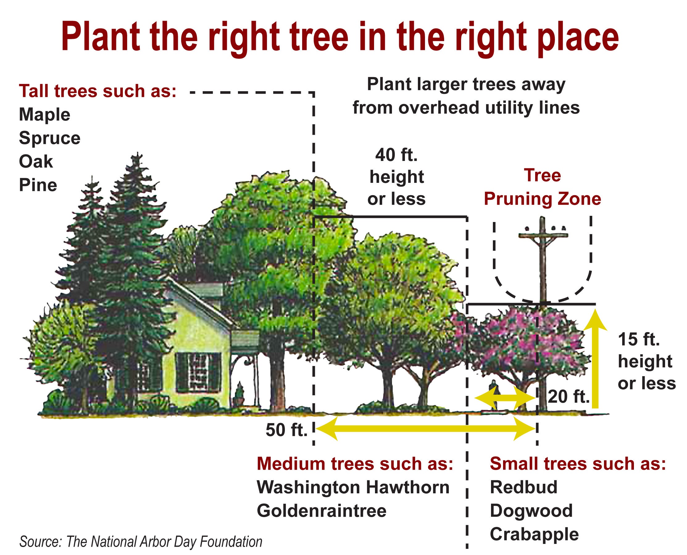 tree diagram