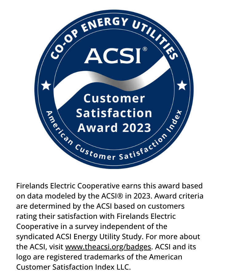 ACSI_Customer_Satisfaction_Award